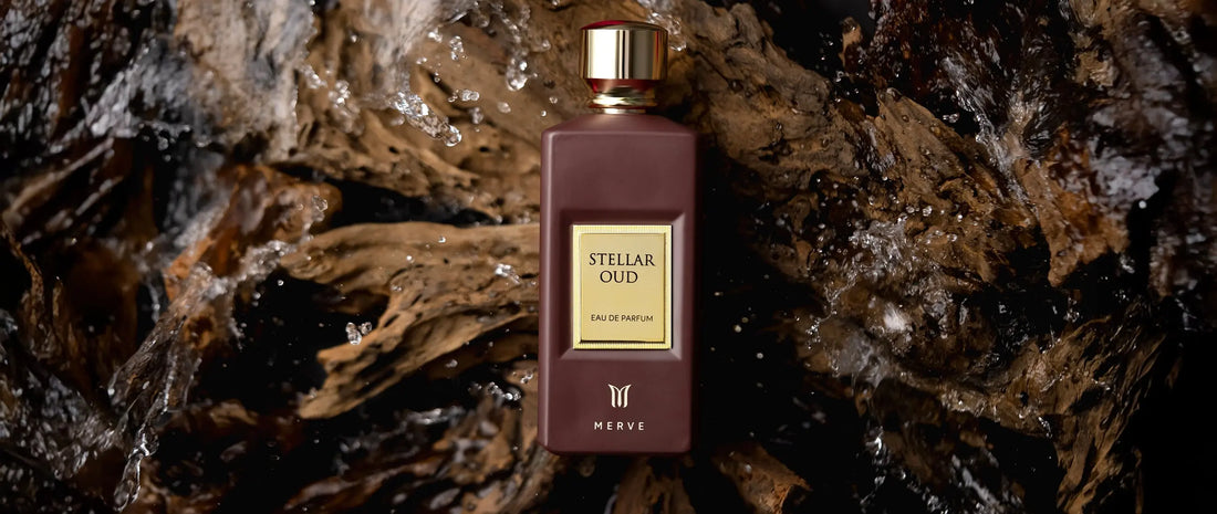 Unveiling the Origins of Woody Perfumes: A Global Journey Merve Perfumes